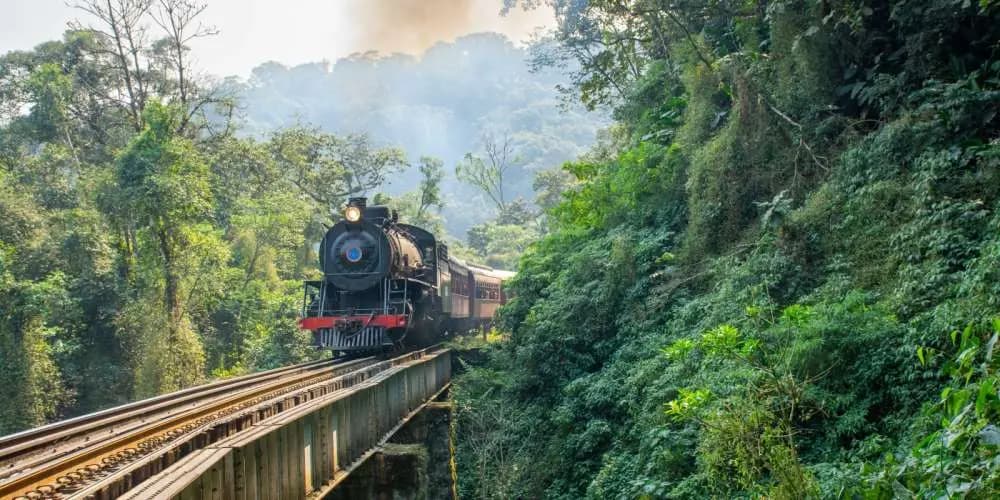 Imagem do Evento: Trem da Serra do Mar